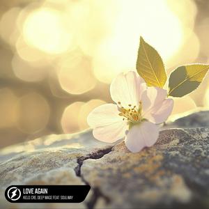 中国一级特黄麻豆
