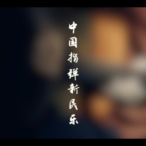 中国一级特黄麻豆
